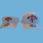 RPM cap and visor combo